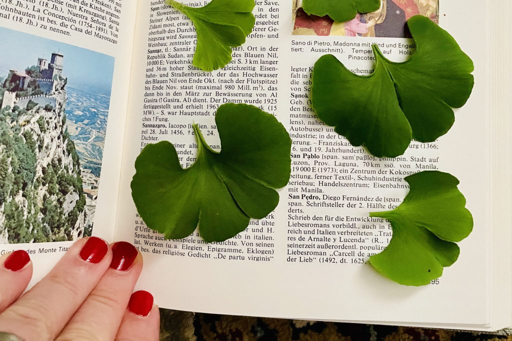 Wenn der Algorithmus schreit: Liefern! Und ich lieber einfach mal gar nix liefern&nbsp;will.