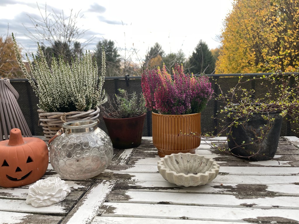 Blick aus dem Atelierfenster ins Grüne. Ruhiger Ausblick auf Garten und Natur, der den Arbeitsalltag in der Keramikwerkstatt begleitet. Natürliche Umgebung als Inspiration für handgemachte Keramik, entschleunigter Moment zwischen Arbeitsschritten und kreativem Prozess.
